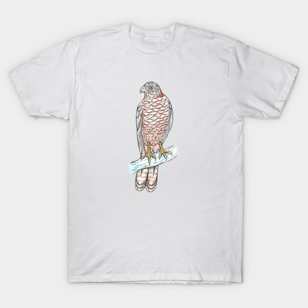 Brown Goshawk T-Shirt by bangart